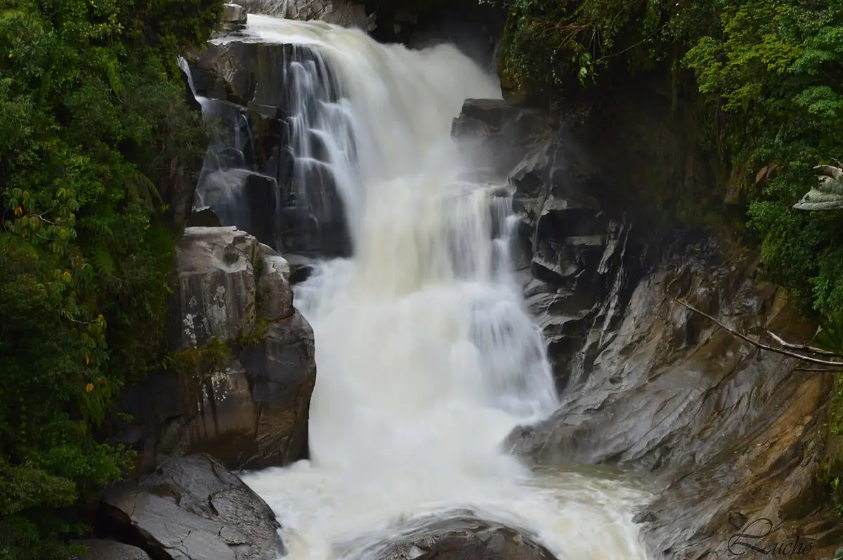 Alejandría (Antioquia)