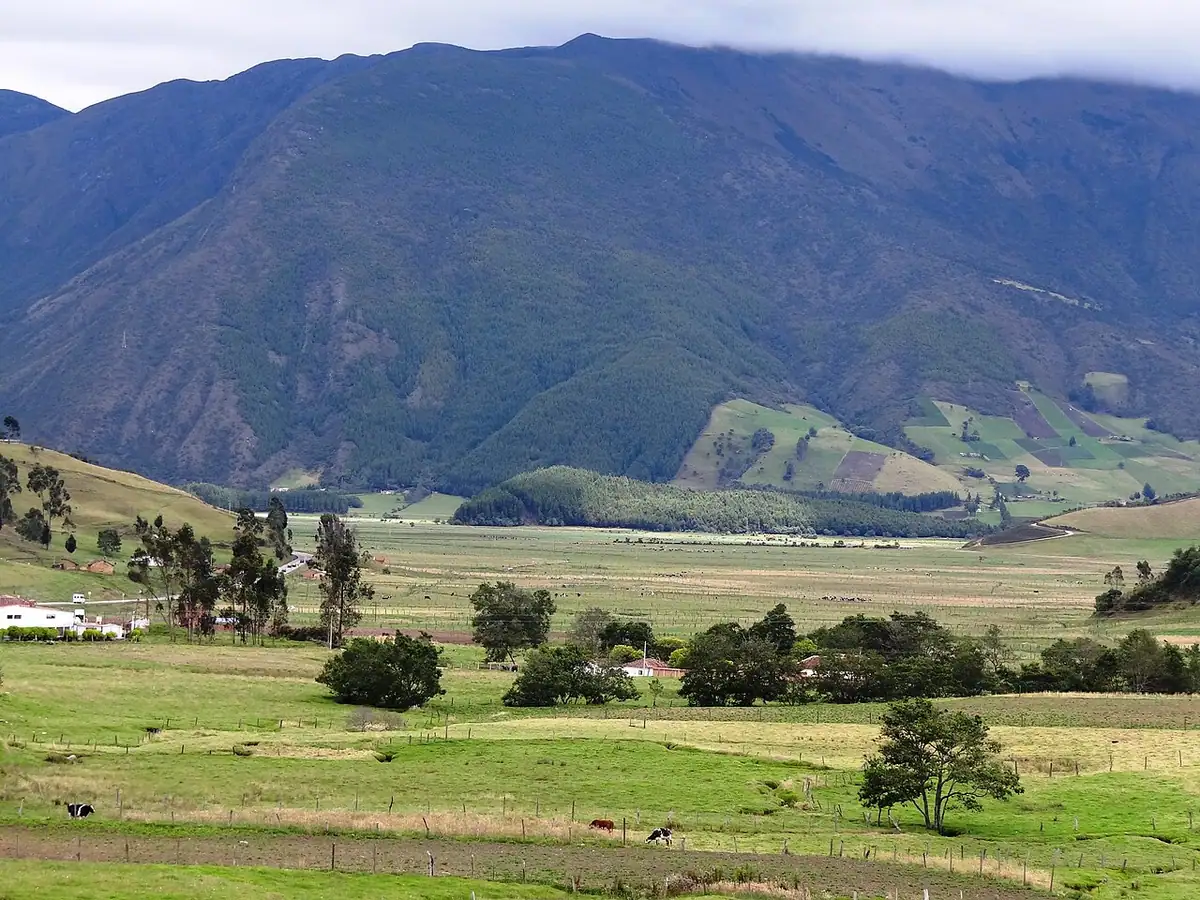 Arcabuco (Boyacá)