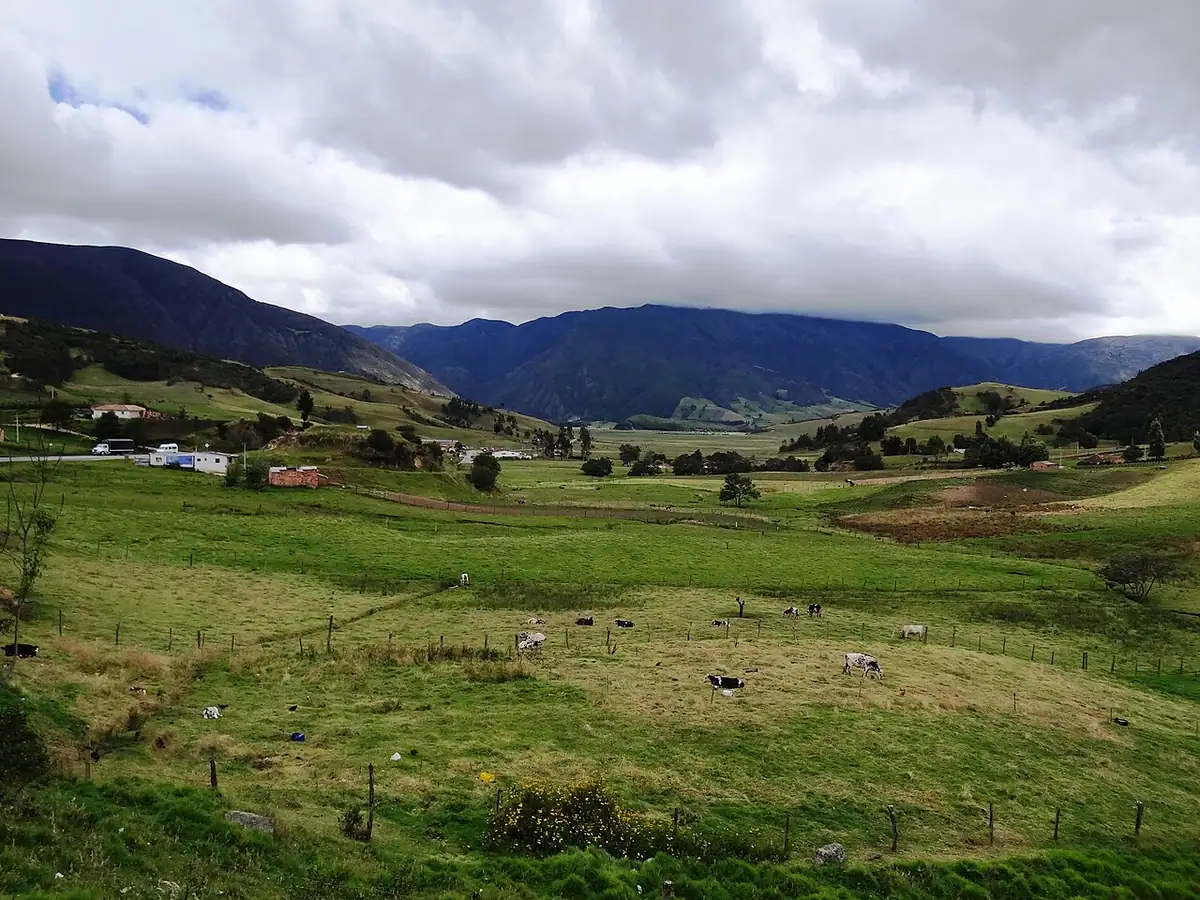 Arcabuco (Boyacá)
