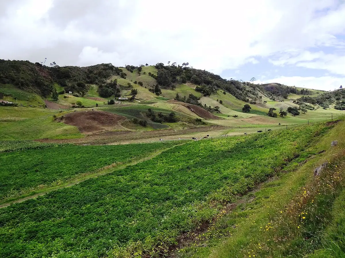 Arcabuco (Boyacá)