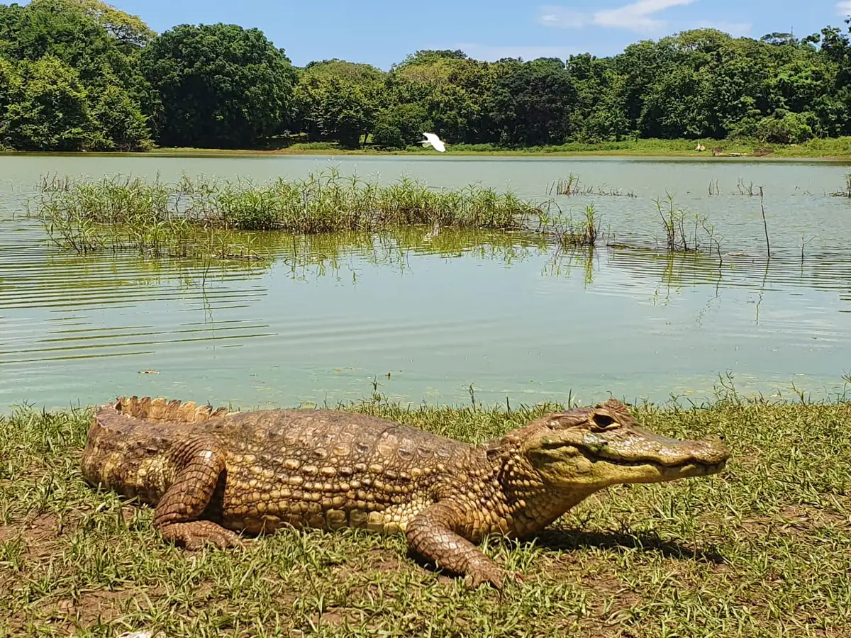 Big Pond (San Andrés)
