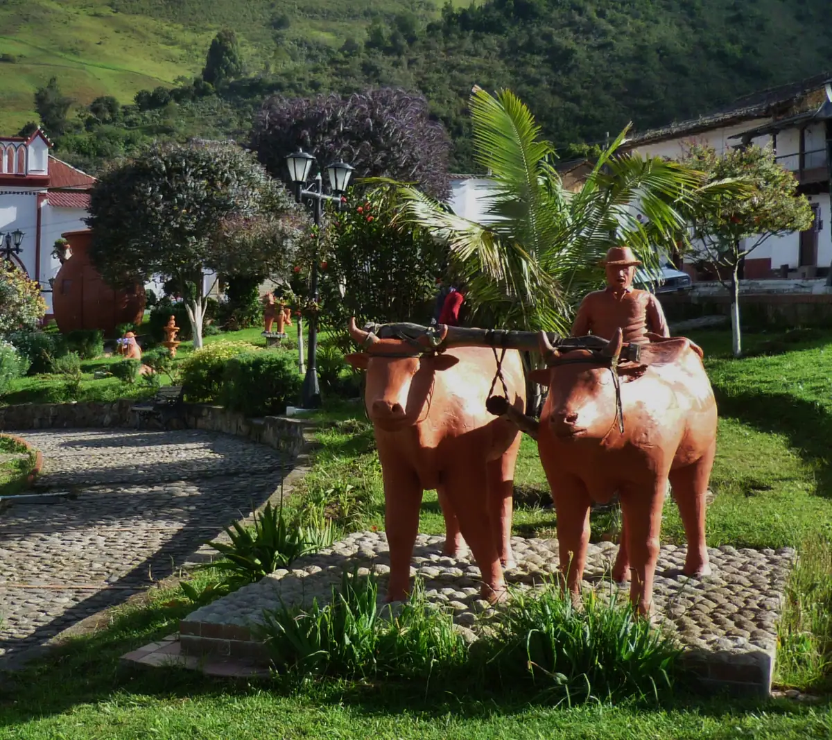 Cácota