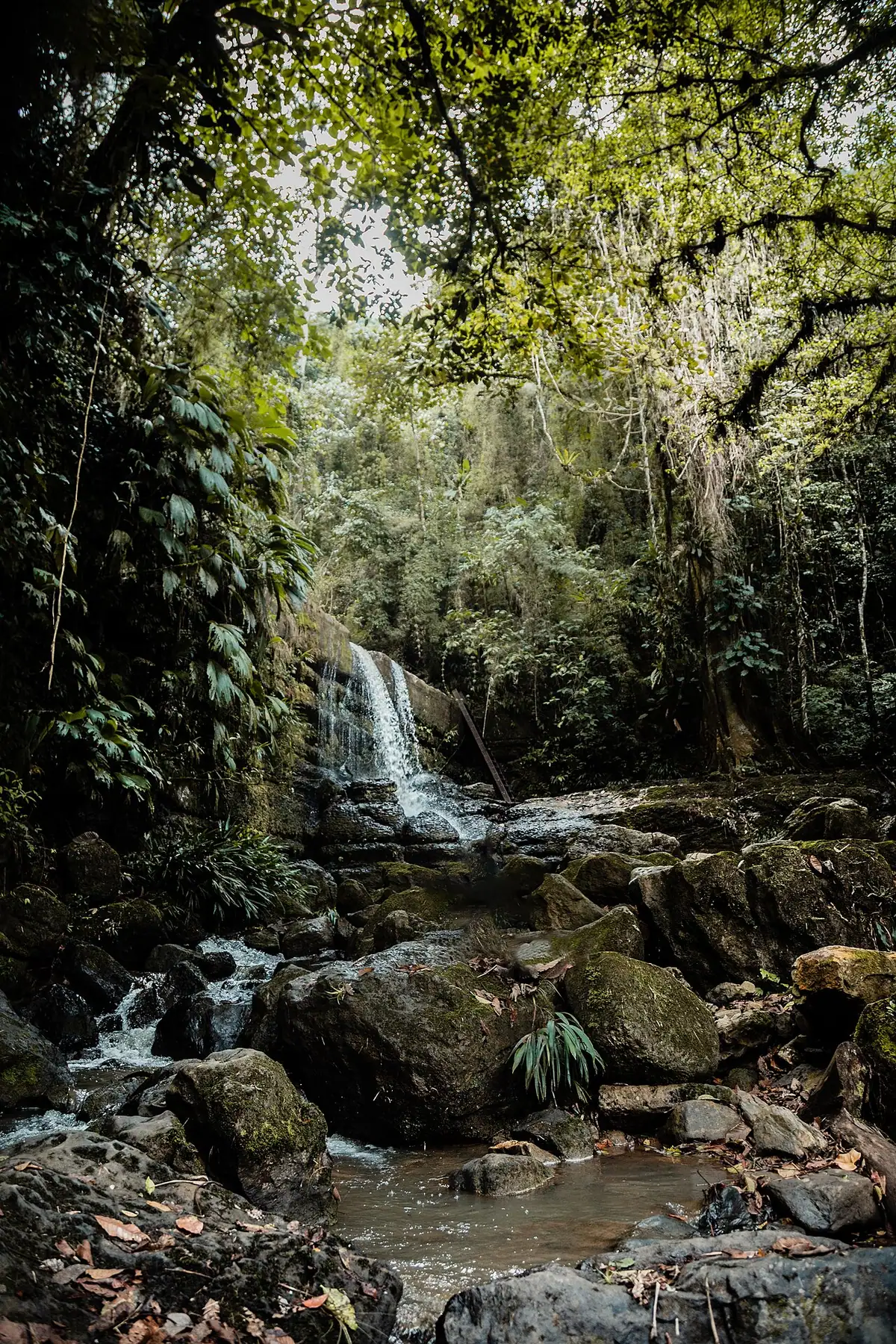 Cascada de Juan Curí (Charalá)