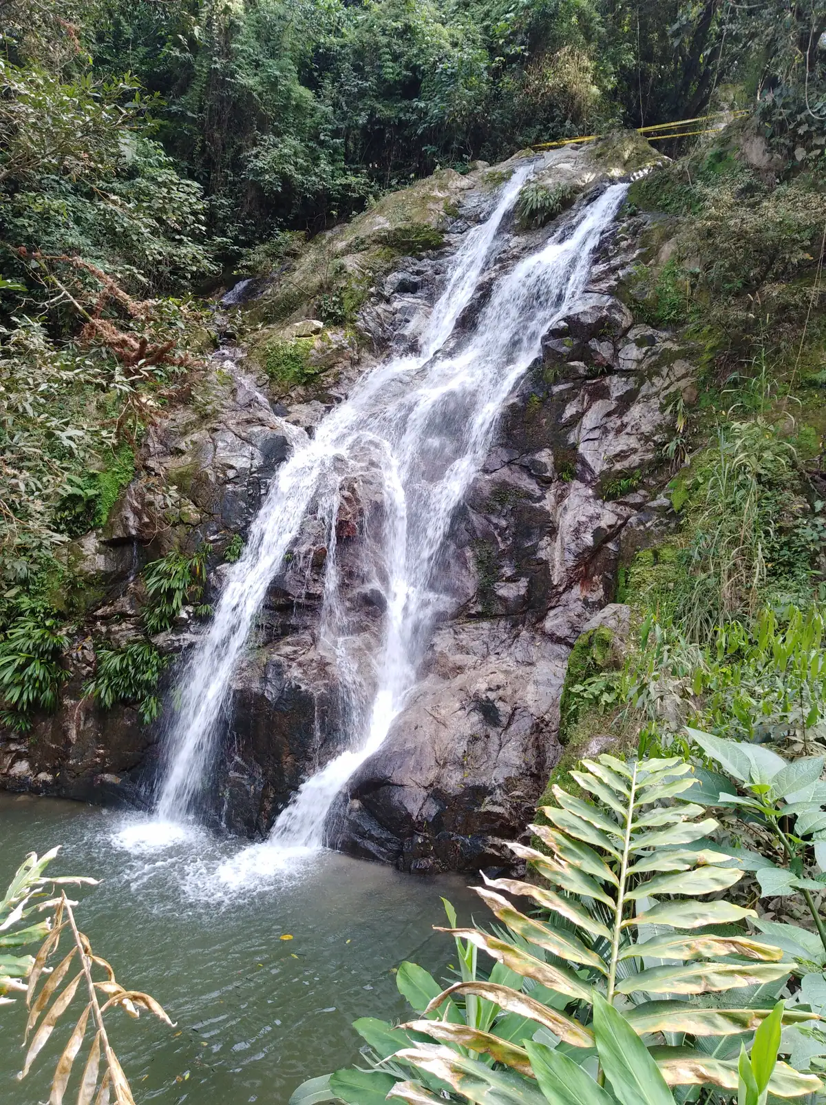 Cascadas de Marinka y Pozo Azul (Minca)