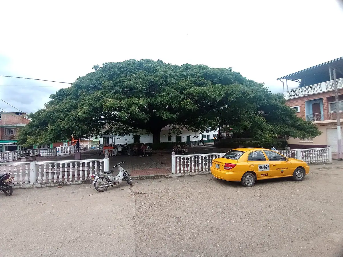 Chaguaní