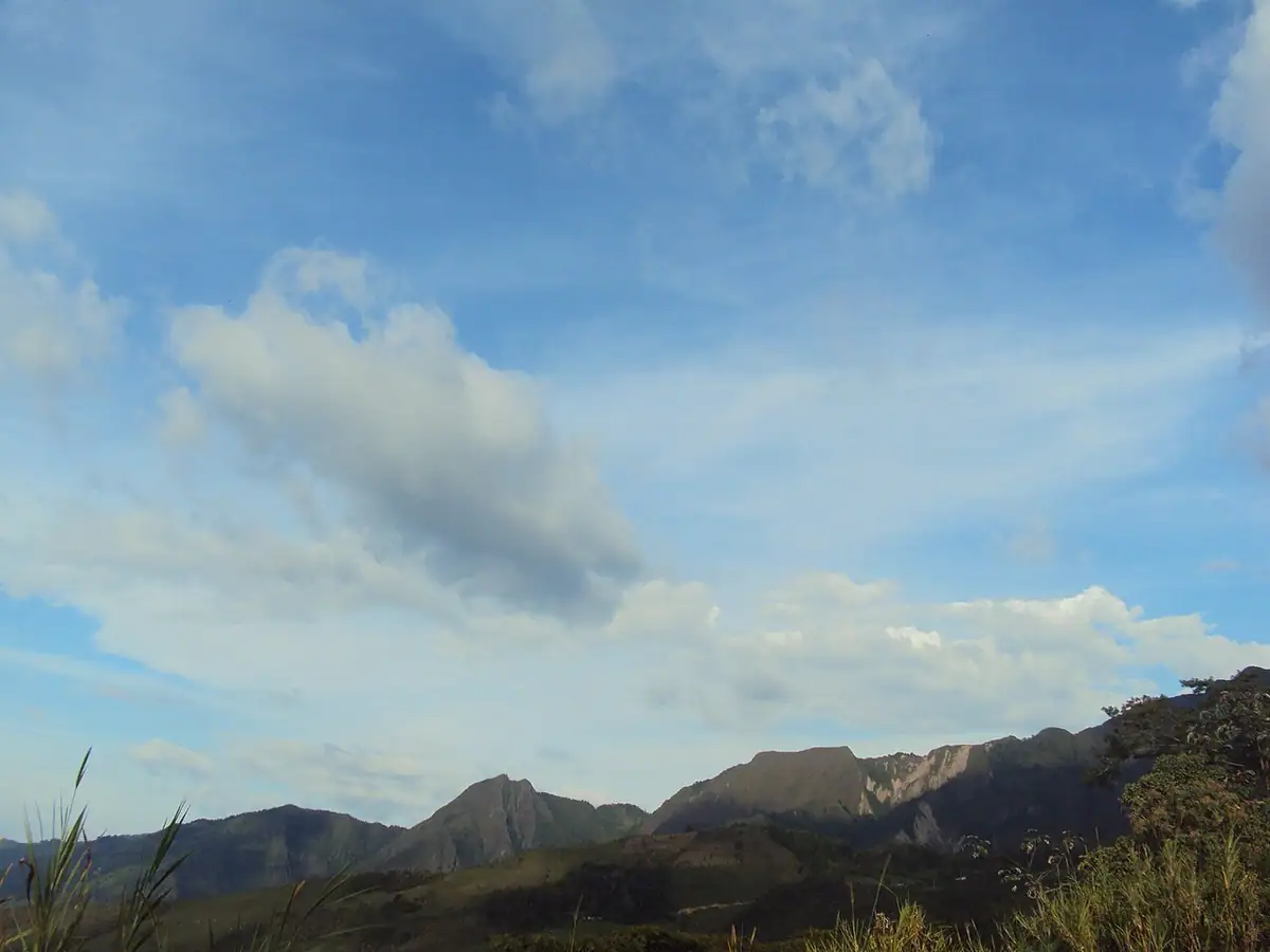 Chaguaní