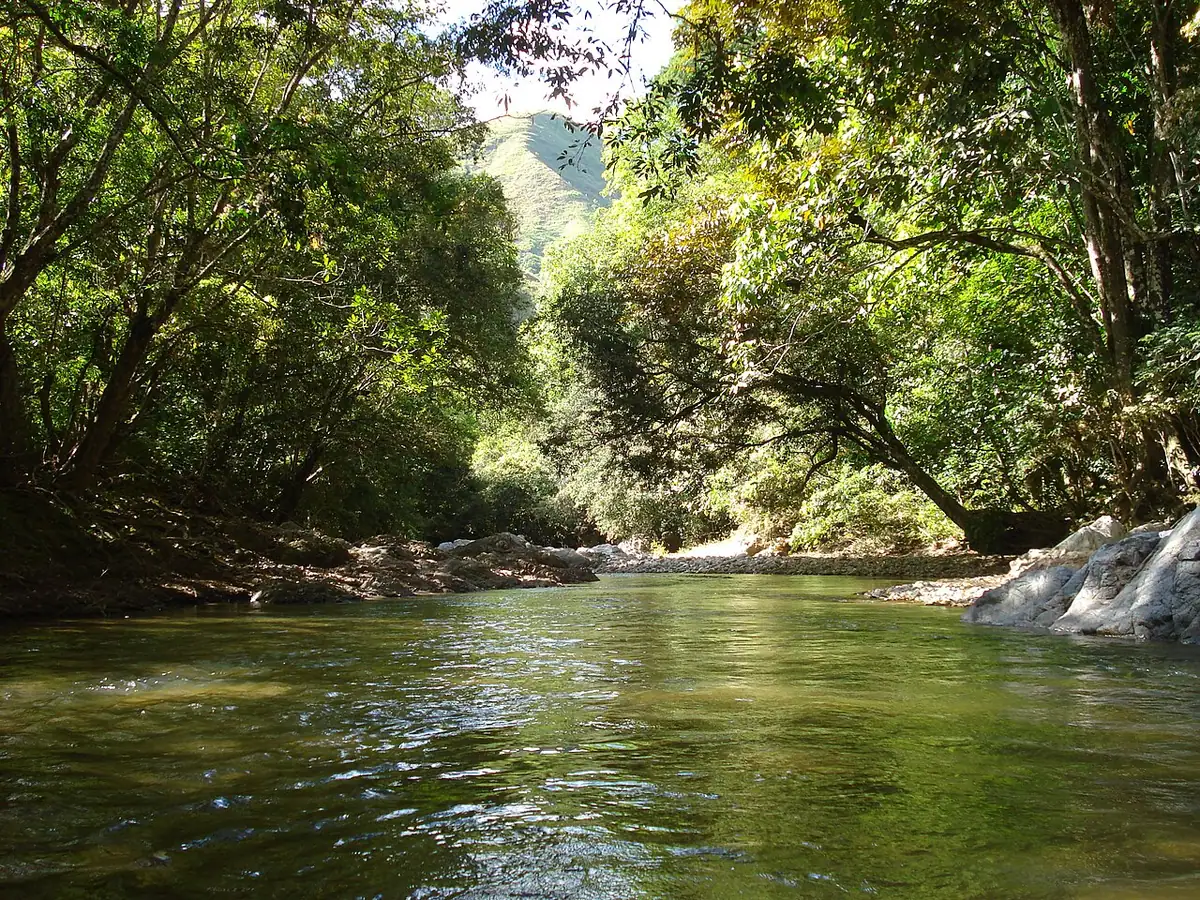 Chaparral (Tolima)