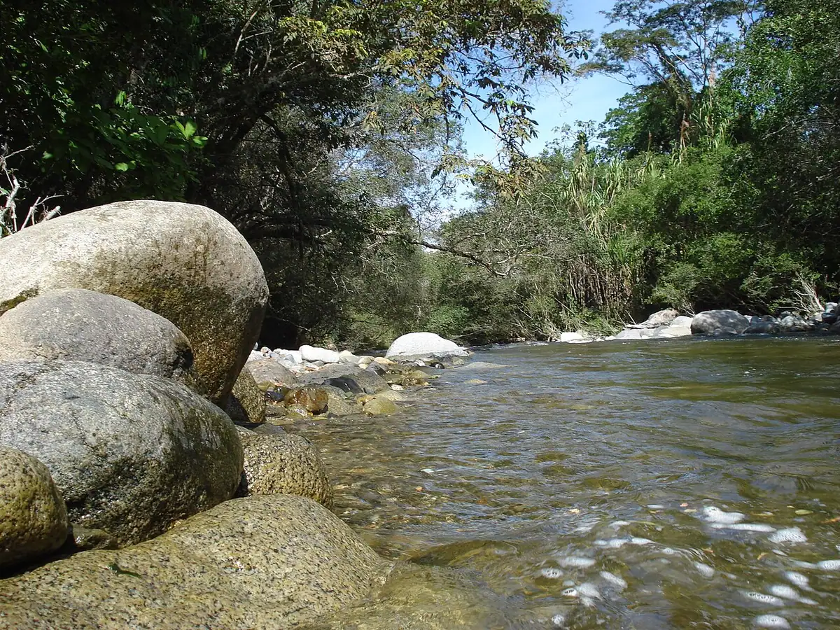 Chaparral (Tolima)