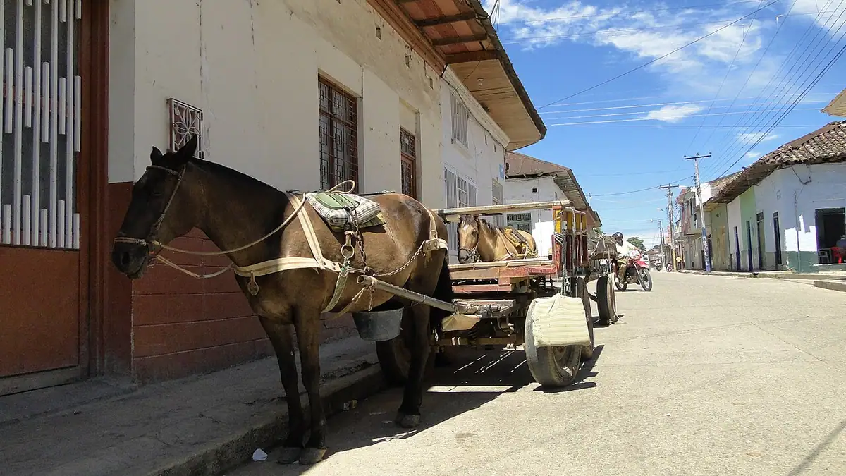 Chaparral (Tolima)