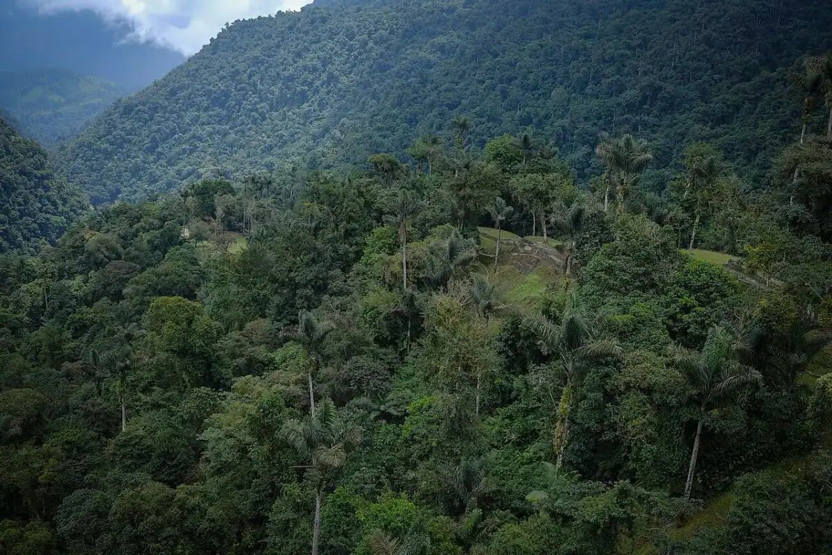 Ciudad Perdida (Teyuna)