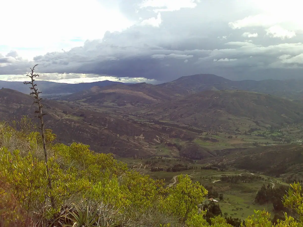 Corrales
