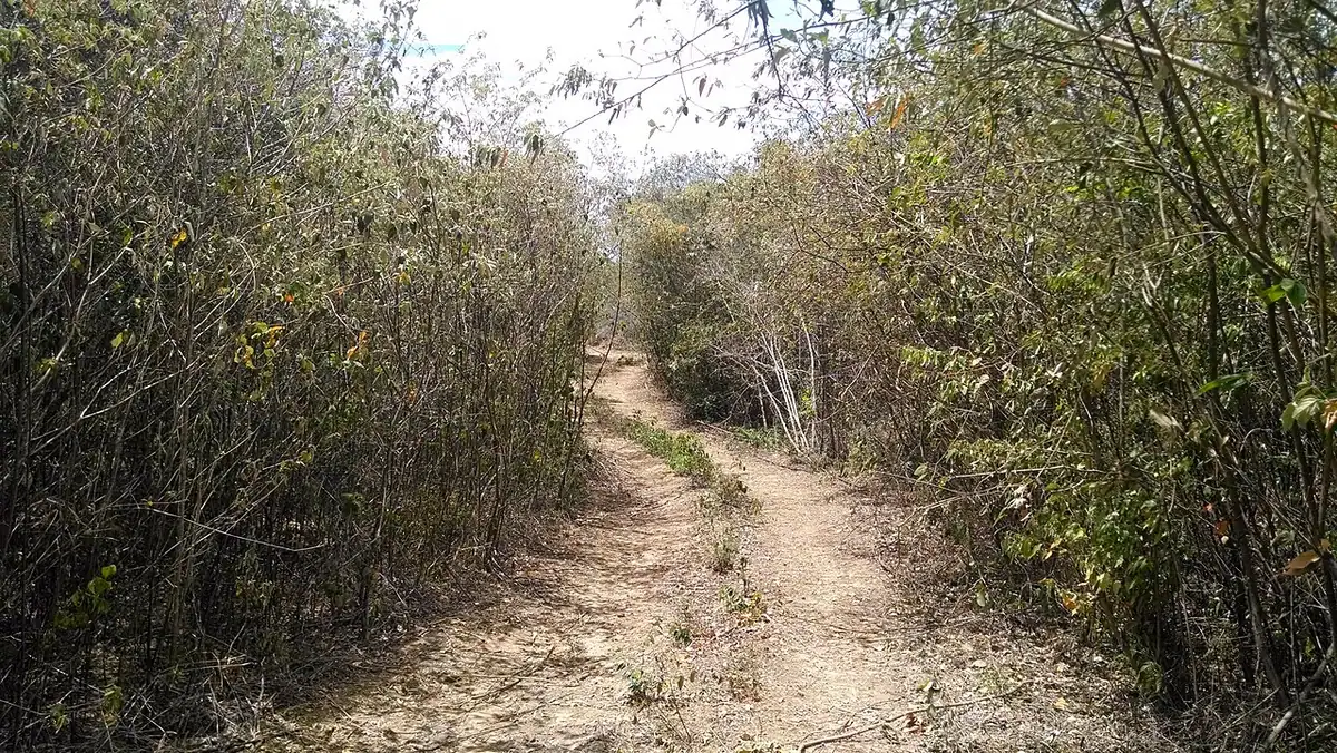 Cúcuta