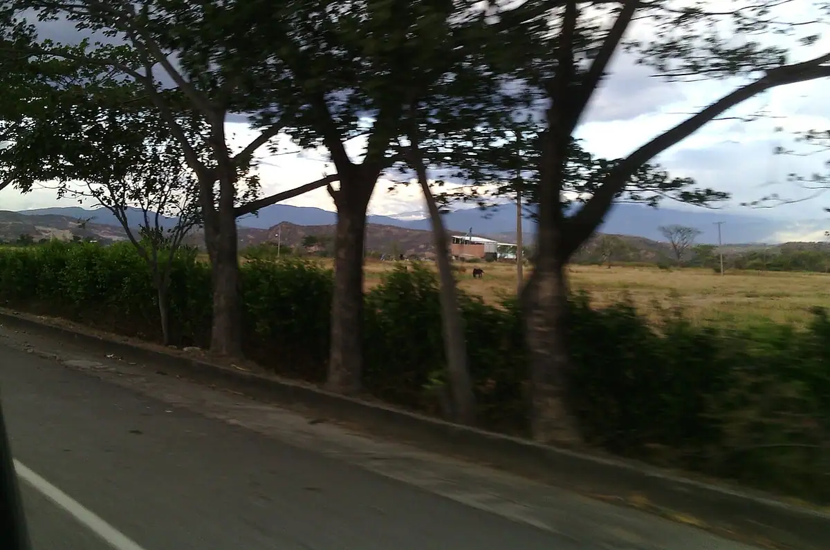 El Zulia