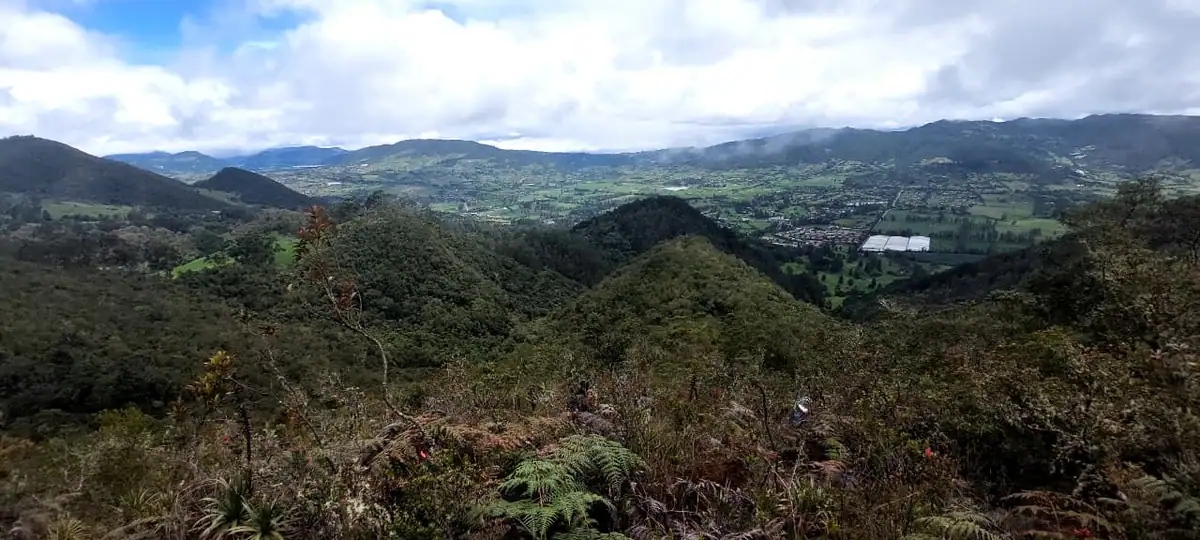Guataquí