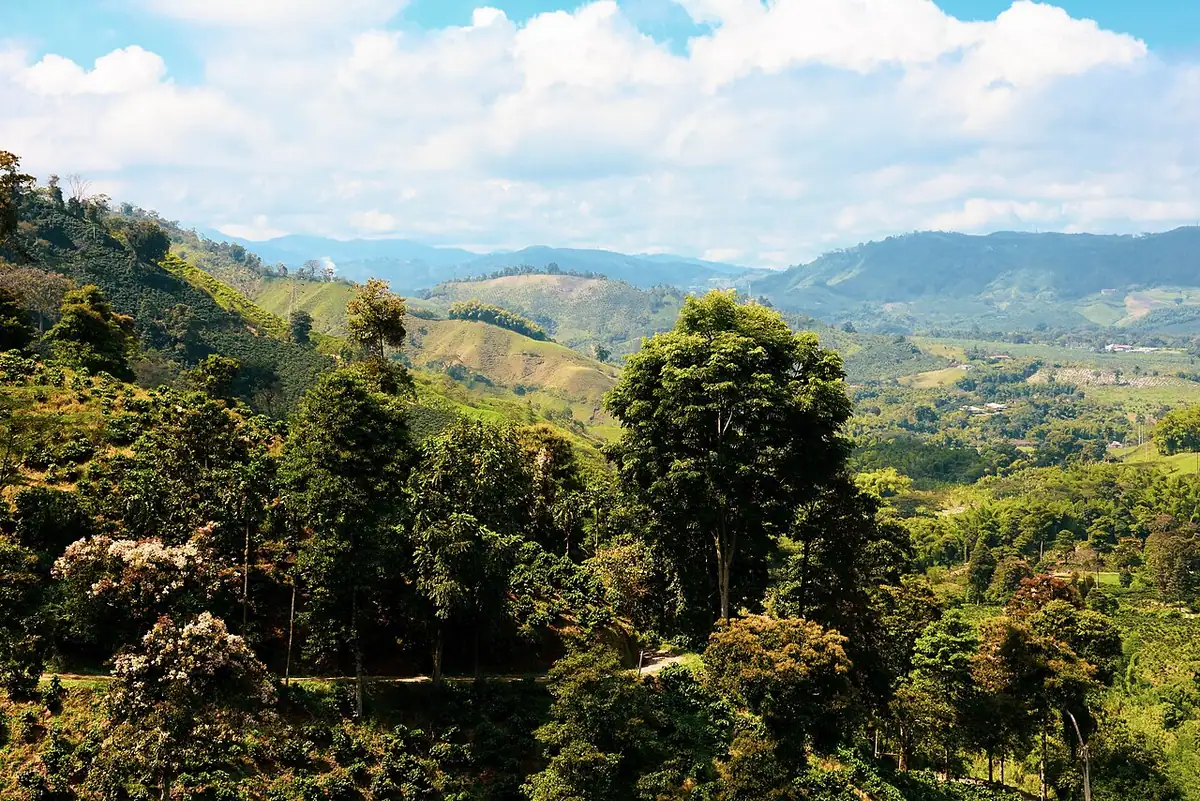 Hacienda Venecia (Manizales)