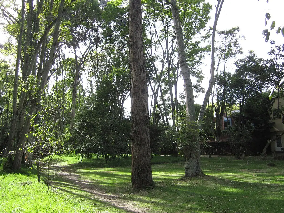 Humedal Córdoba (Bogotá)