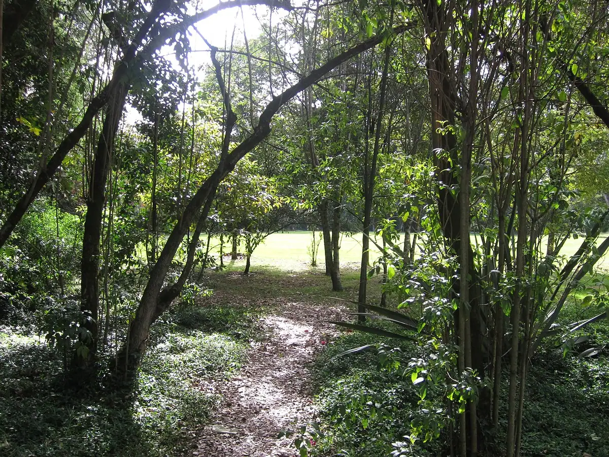Humedal Córdoba (Bogotá)