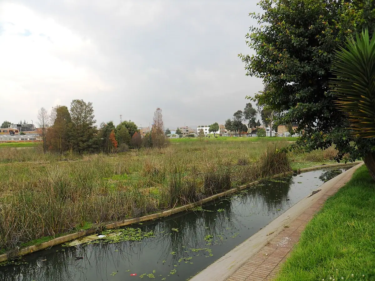 Humedal Jaboque (Bogotá)