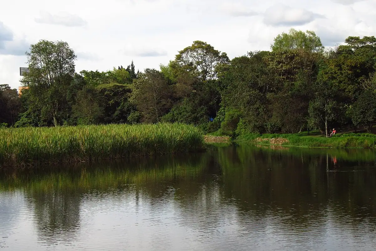 Humedal Santa María del Lago (Bogotá)