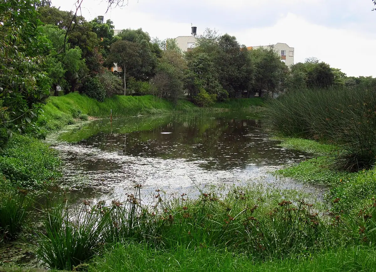 Humedal Santa María del Lago (Bogotá)