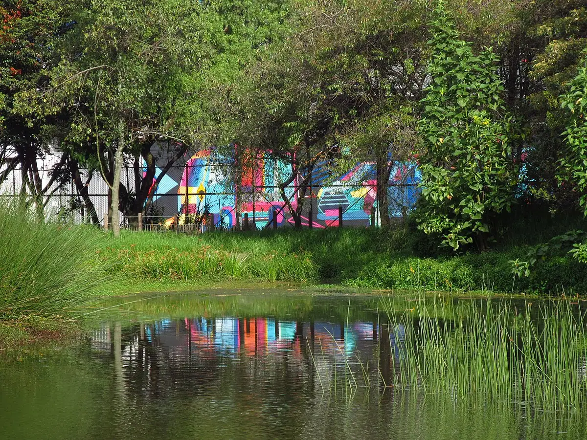 Humedal Santa María del Lago (Bogotá)