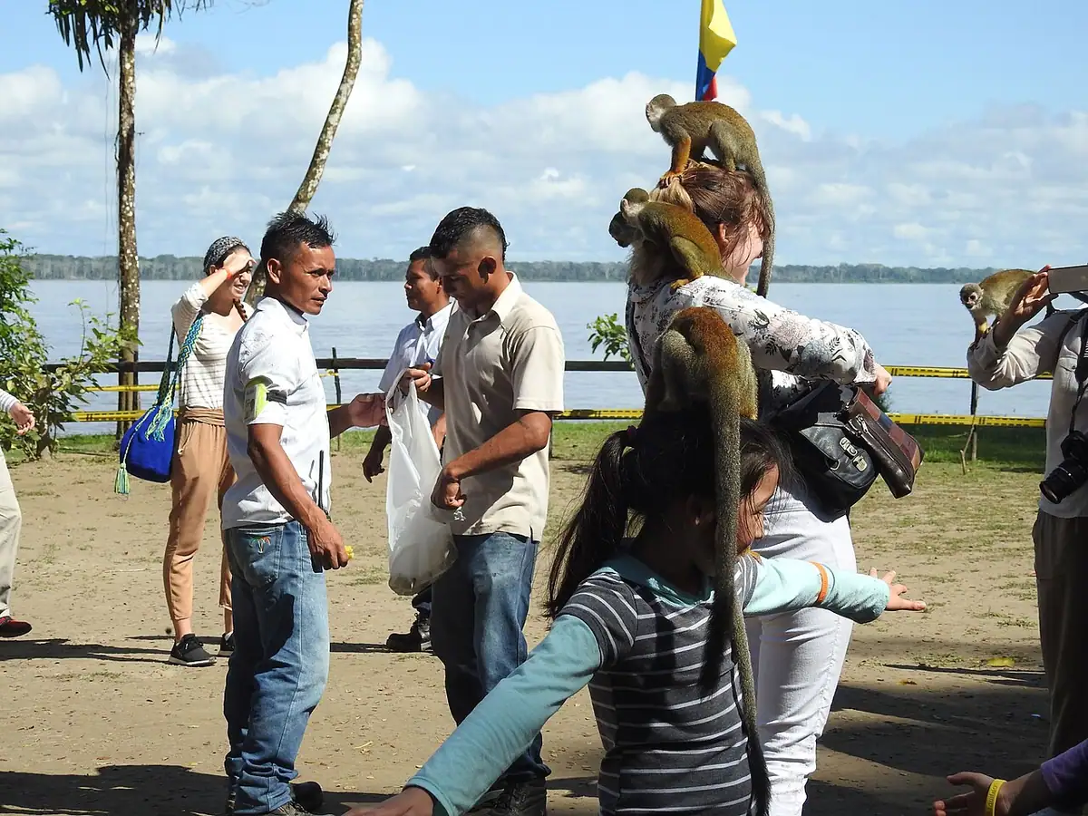 Isla de los Micos (Leticia)