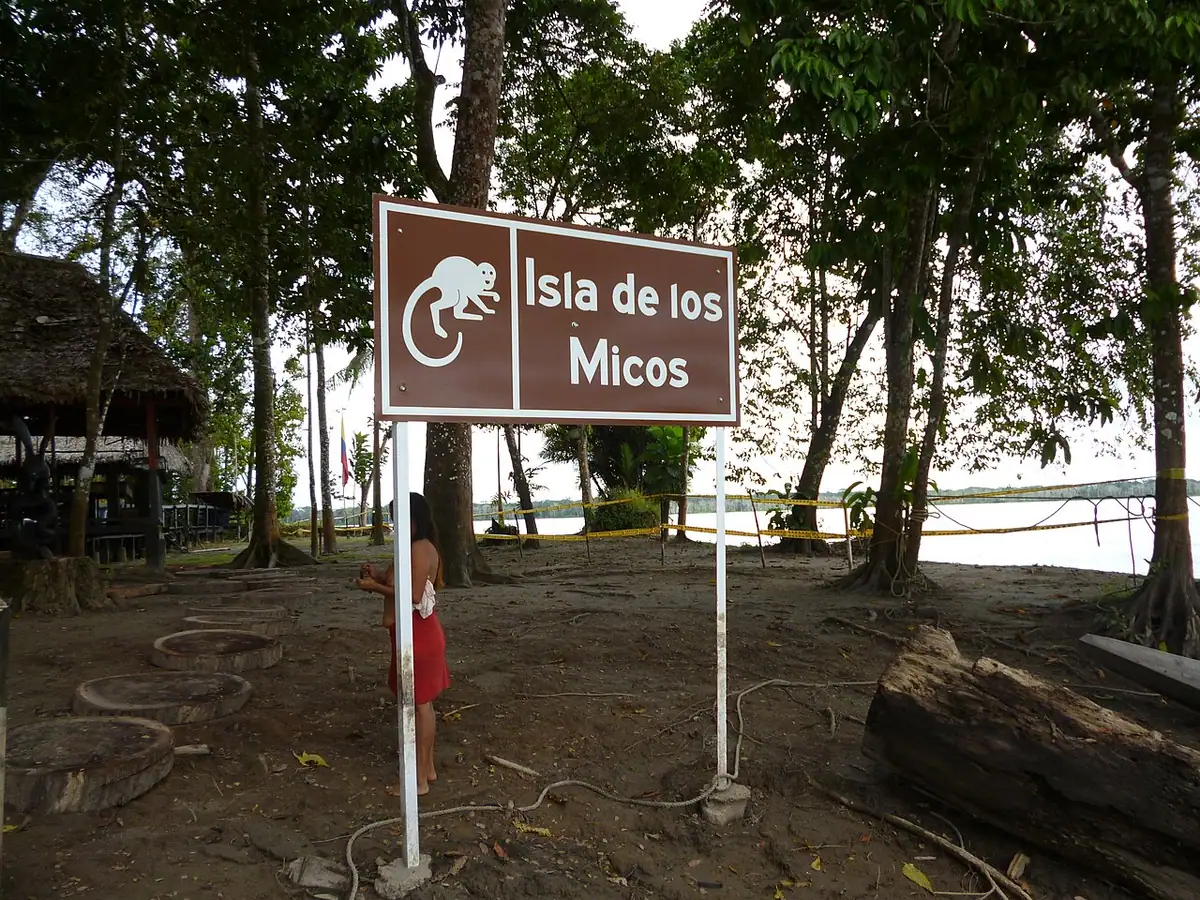 Isla de los Micos (Leticia)