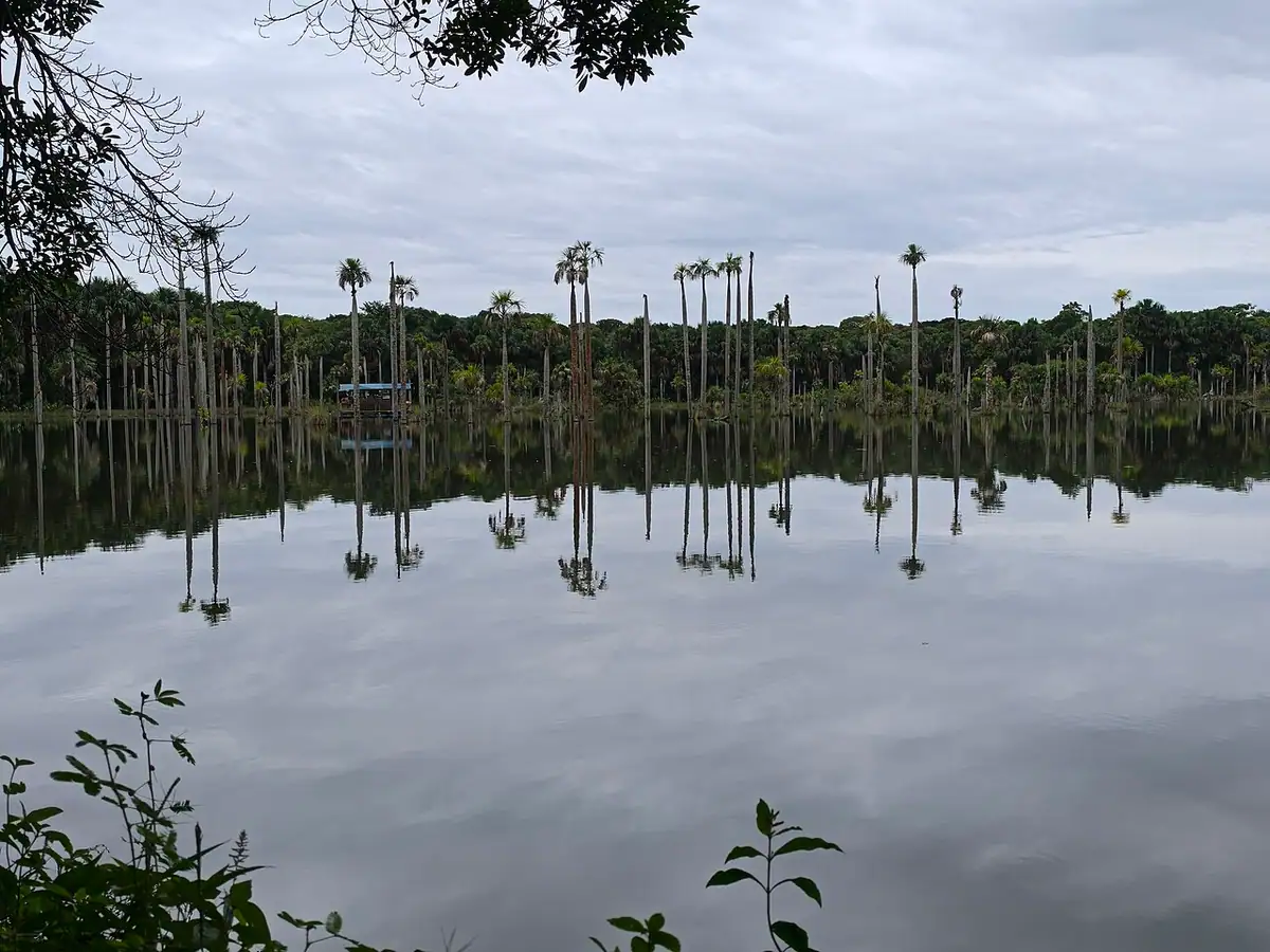 Laguna del Amor (Puerto Rico, Meta)