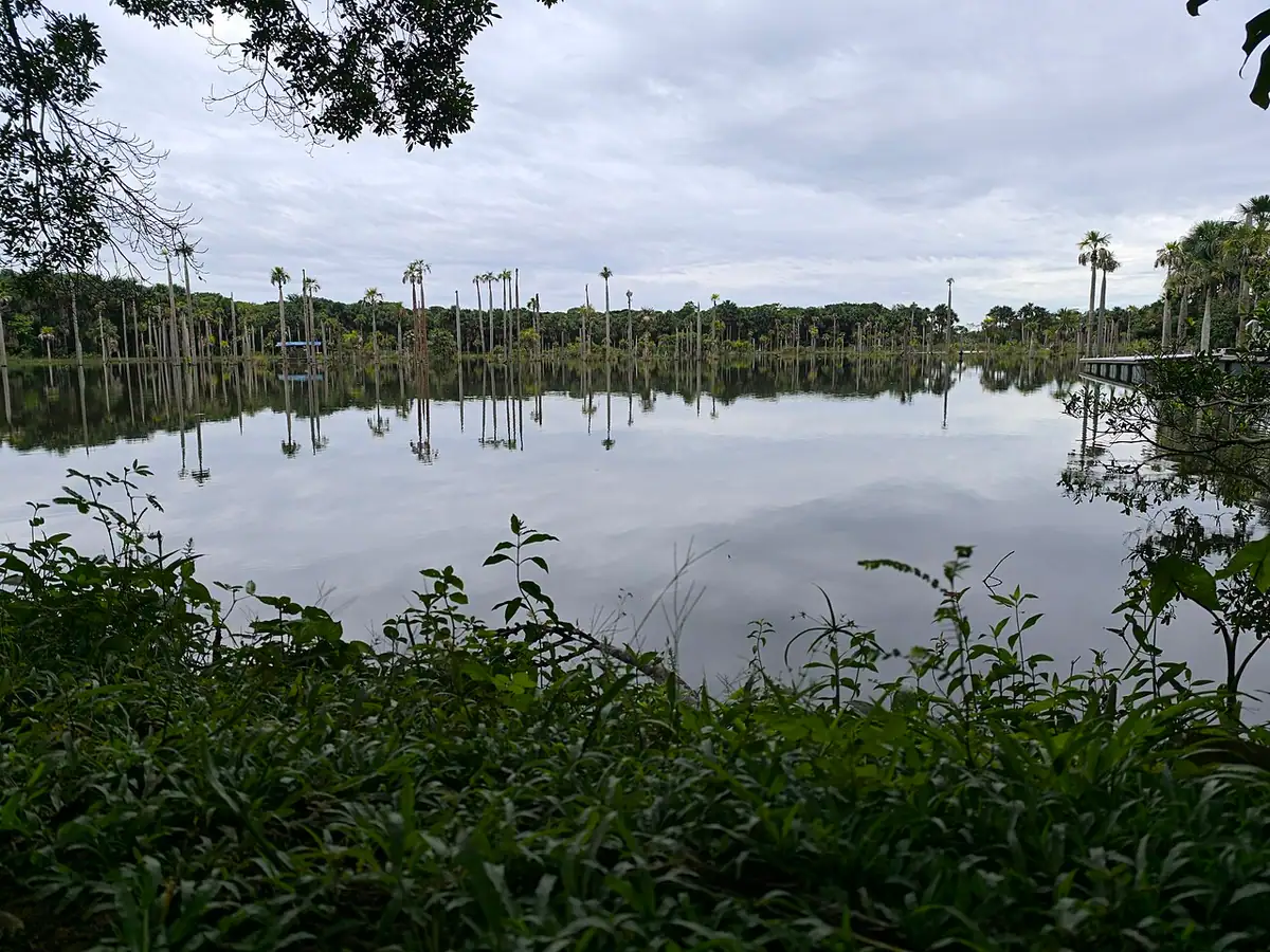 Laguna del Amor (Puerto Rico, Meta)
