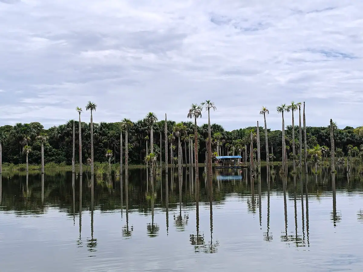 Laguna del Amor (Puerto Rico, Meta)
