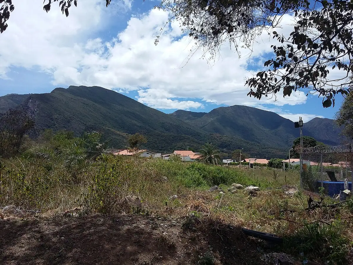 Los Patios