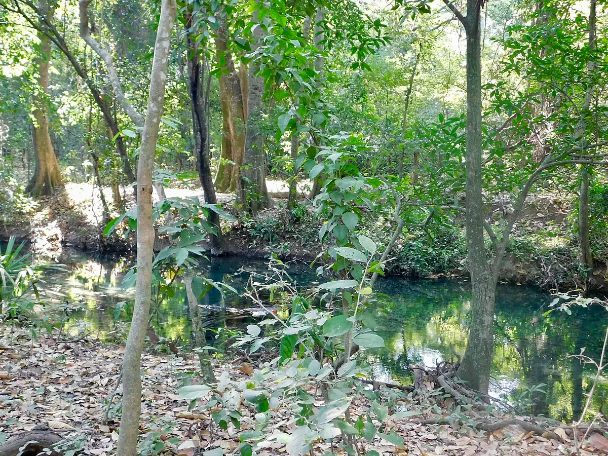 Manantiales de Cañaverales (La Guajira)