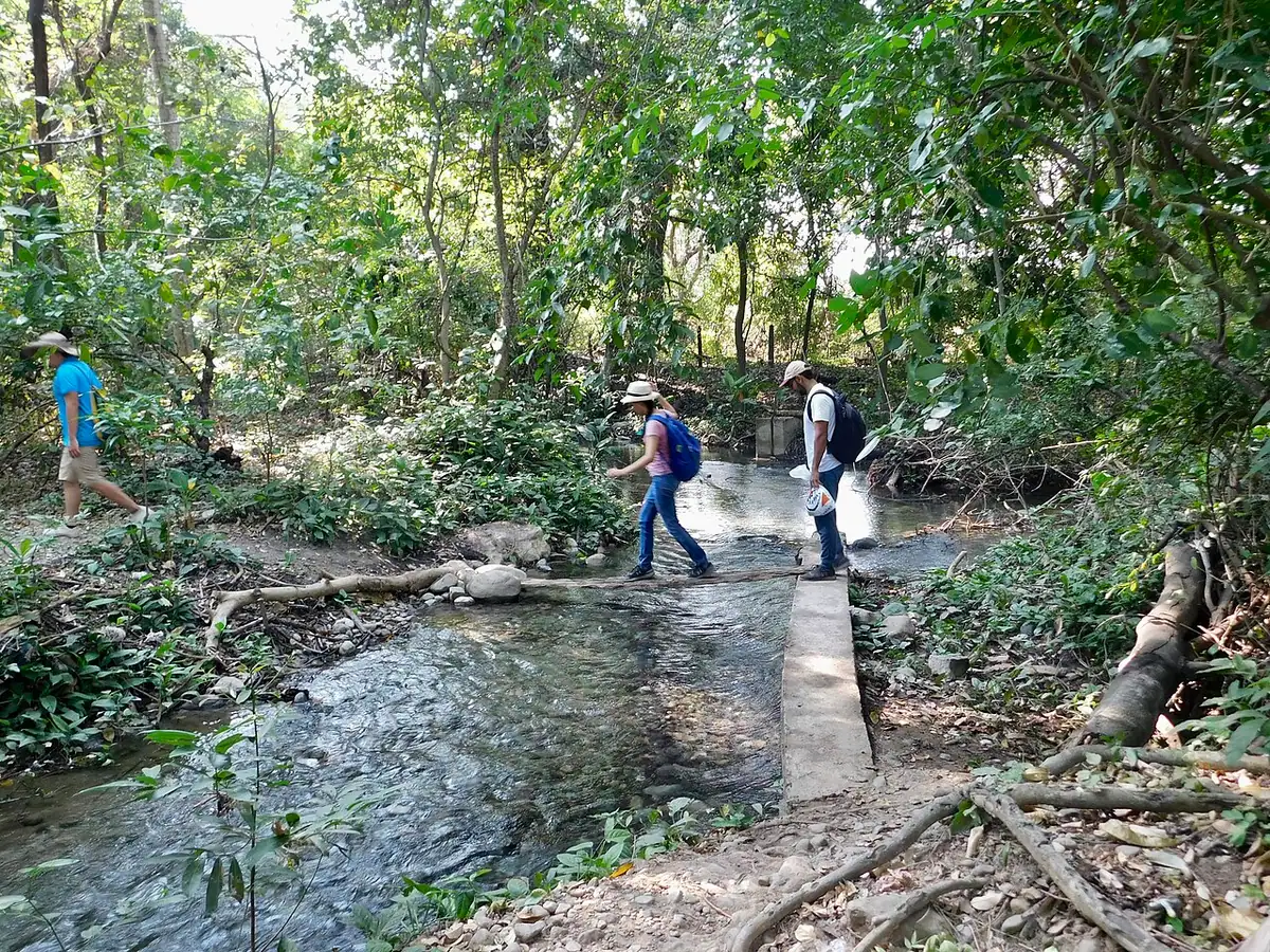 Manantiales de Cañaverales (La Guajira)