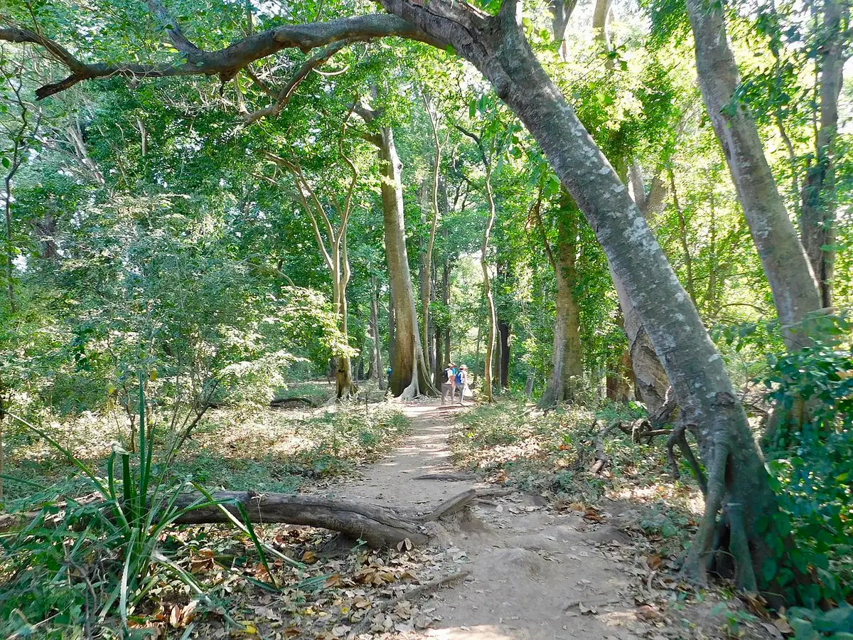 Manantiales de Cañaverales (La Guajira)