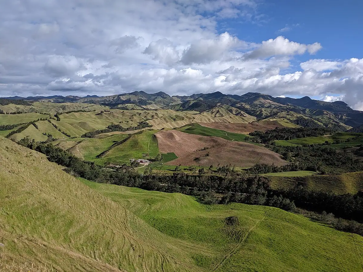 Marulanda