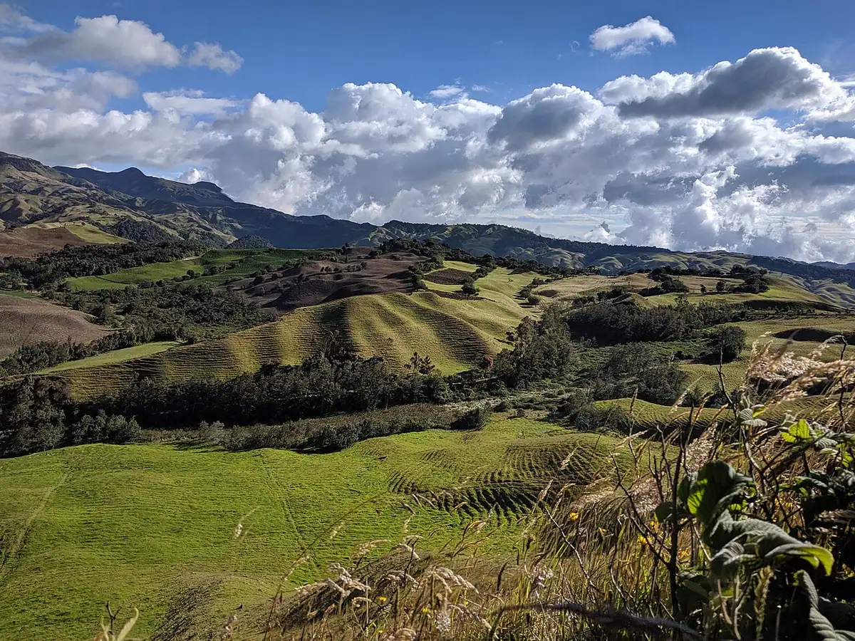 Marulanda