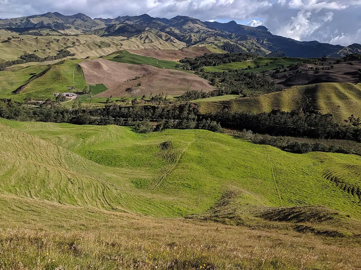 Marulanda