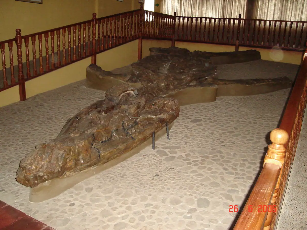 Museo El Fósil (Villa de Leyva)