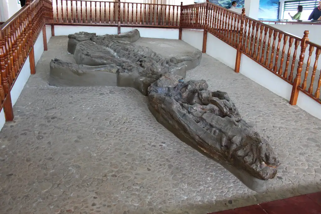 Museo El Fósil (Villa de Leyva)