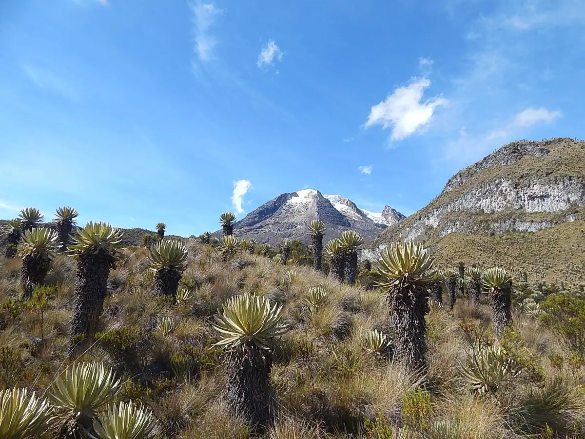 Nevado del Tolima