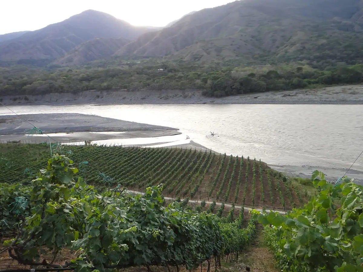 Olaya (Antioquia)