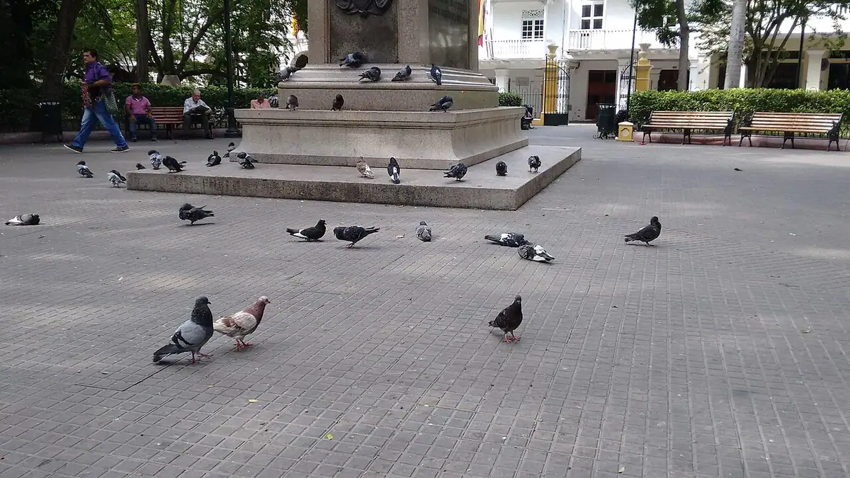 Parque de Bolívar (Cartagena)