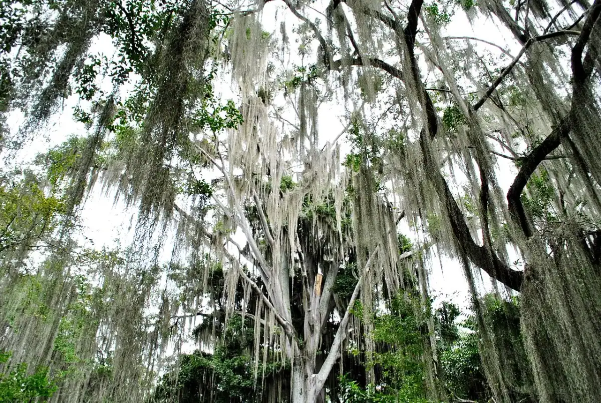 Parque El Gallineral (San Gil)