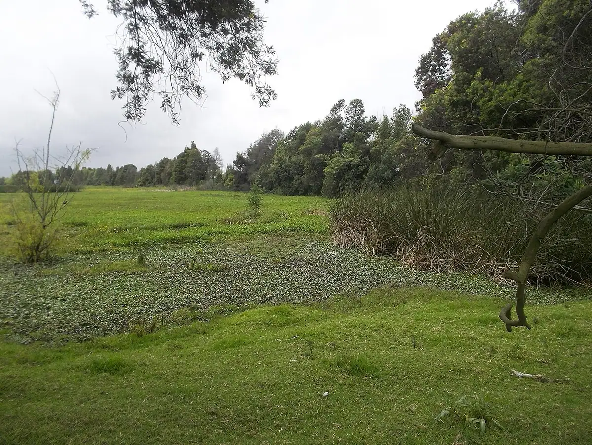 Parque La Florida (Bogotá)