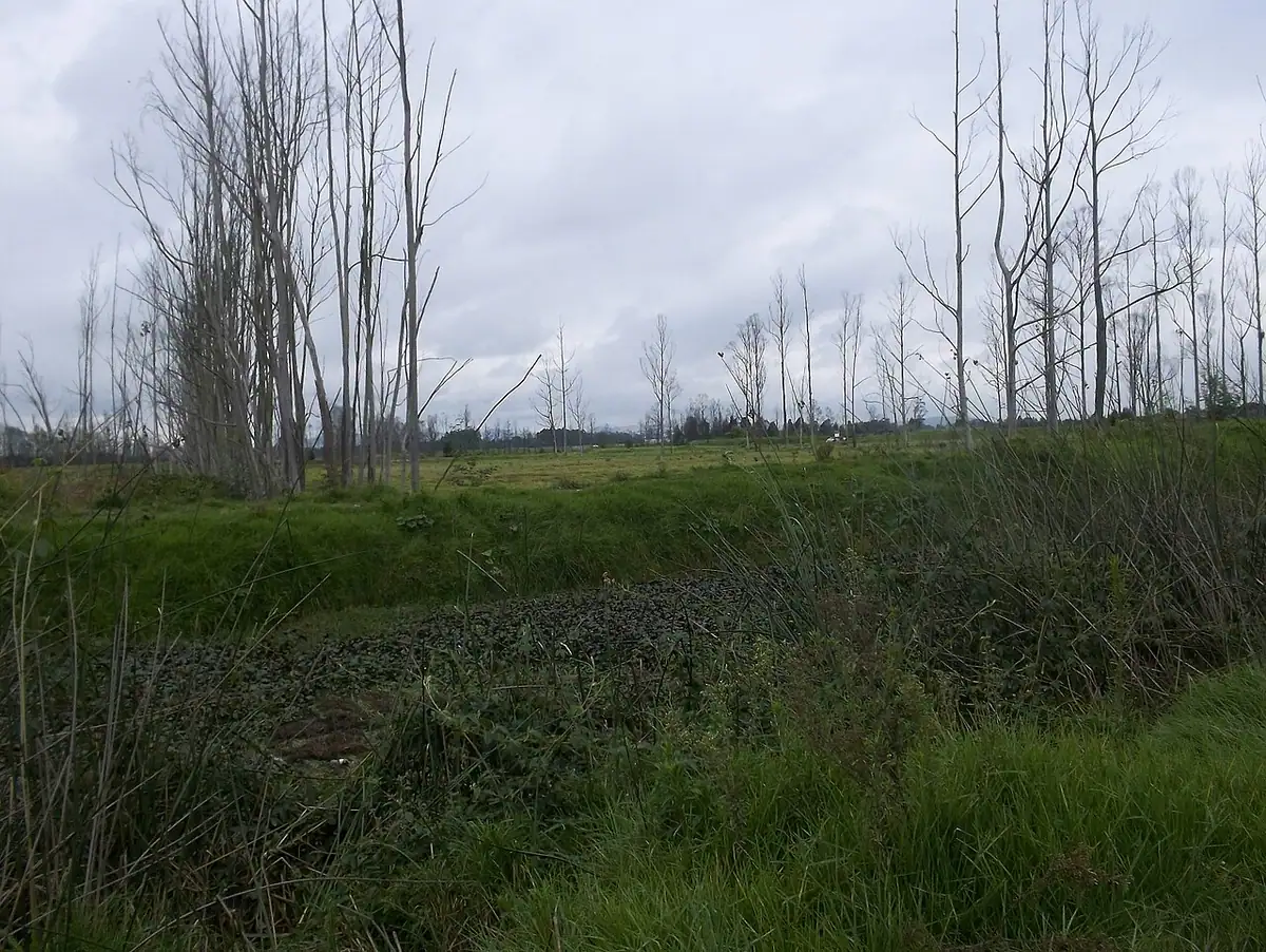 Parque La Florida (Bogotá)