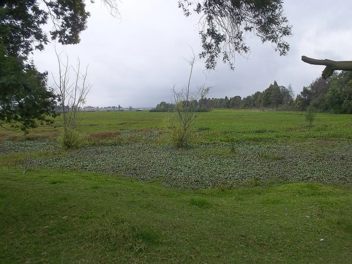 Parque La Florida (Bogotá)