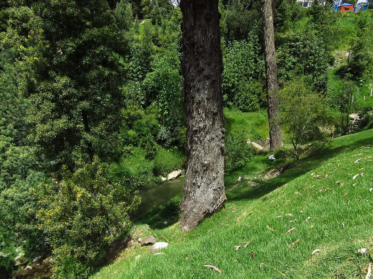 Parque Nacional Enrique Olaya Herrera (Bogotá)