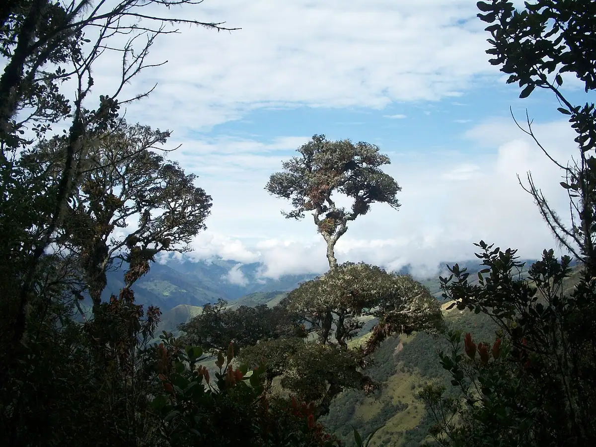 Parque Nacional Natural Las Hermosas