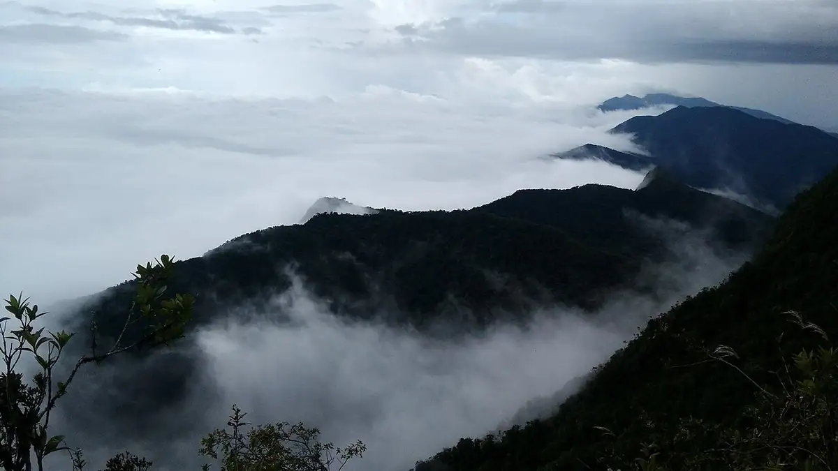 Parque Nacional Natural Munchique