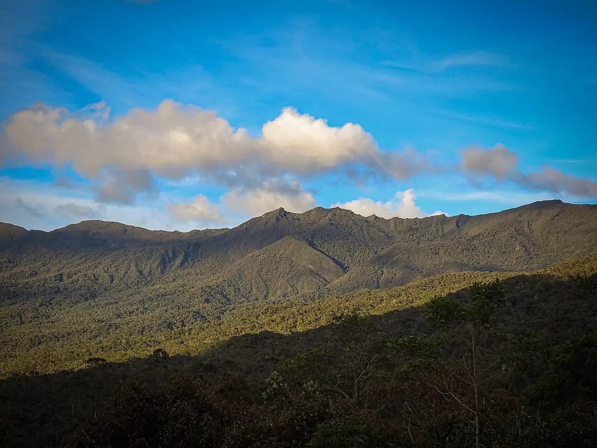 Parque Nacional Natural Tamá